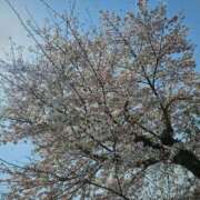 ヒメ日記 2025/12/12 09:42 投稿 夕張えみる【業界未経験】 素人専門キラキラ学園