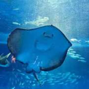 ヒメ日記 2025/12/14 23:27 投稿 夕張えみる【業界未経験】 素人専門キラキラ学園