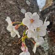 ヒメ日記 2025/12/15 09:48 投稿 夕張えみる【業界未経験】 素人専門キラキラ学園