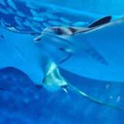 ヒメ日記 2025/12/18 23:33 投稿 夕張えみる【業界未経験】 素人専門キラキラ学園