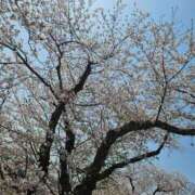 ヒメ日記 2025/12/19 09:48 投稿 夕張えみる【業界未経験】 素人専門キラキラ学園