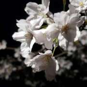 ヒメ日記 2025/12/19 19:18 投稿 夕張えみる【業界未経験】 素人専門キラキラ学園