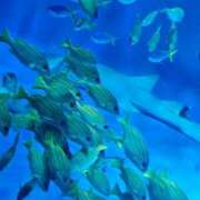 ヒメ日記 2025/12/19 22:33 投稿 夕張えみる【業界未経験】 素人専門キラキラ学園