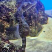 ヒメ日記 2025/12/22 23:18 投稿 夕張えみる【業界未経験】 素人専門キラキラ学園