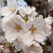 ヒメ日記 2025/12/23 09:48 投稿 夕張えみる【業界未経験】 素人専門キラキラ学園