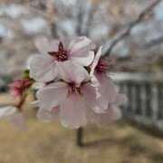 ヒメ日記 2025/12/29 09:18 投稿 夕張えみる【業界未経験】 素人専門キラキラ学園