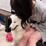 天川きせき【PREMIUM】 今会えるチャンスだよ…♡ 素人専門キラキラ学園