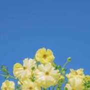 ヒメ日記 2026/03/27 03:05 投稿 前田あいこ【優等生】 素人専門キラキラ学園