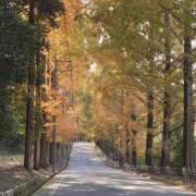 北風ふうか お久しぶりの、、 素人専門キラキラ学園