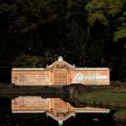 ヒメ日記 2025/10/23 08:49 投稿 あかり かりんと池袋東口店