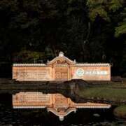 ヒメ日記 2025/12/07 11:32 投稿 あかり かりんと池袋東口店