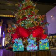 ヒメ日記 2025/12/17 12:30 投稿 あかり かりんと池袋東口店