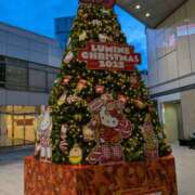 ヒメ日記 2025/12/23 21:57 投稿 あかり かりんと池袋東口店