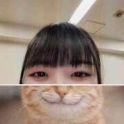 ヒメ日記 2026/03/17 17:35 投稿 あかり かりんと池袋東口店