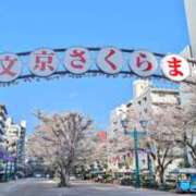 ヒメ日記 2026/04/05 10:18 投稿 あかり かりんと池袋東口店