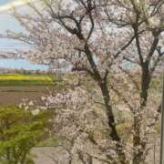 みどり 出勤しました！ 完熟ばなな新宿