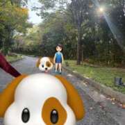 ヒメ日記 2025/11/09 09:24 投稿 しほ 金瓶梅(きんぺいぱい)(雄琴)