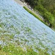 ヒメ日記 2026/05/14 17:02 投稿 しほ 金瓶梅(きんぺいぱい)(雄琴)