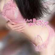 ヒメ日記 2026/02/07 17:21 投稿 ほのか ナイトヴィーナス