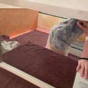 ヒメ日記 2026/03/12 12:23 投稿 みずほ 池袋角海老