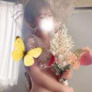 ヒメ日記 2025/11/20 09:19 投稿 ゆりあ 多恋人 新宿店