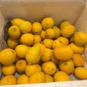 ヒメ日記 2026/01/30 15:45 投稿 ゆりあ 多恋人 新宿店