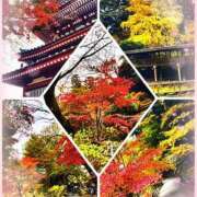 ヒメ日記 2025/11/23 17:32 投稿 高坂志乃 プレジデントハウス