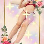 ヒメ日記 2026/02/04 10:29 投稿 高坂志乃 プレジデントハウス