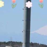 ヒメ日記 2026/03/08 10:59 投稿 高坂志乃 プレジデントハウス