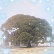 ヒメ日記 2026/03/24 10:26 投稿 高坂志乃 プレジデントハウス