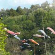 ヒメ日記 2026/04/12 01:16 投稿 高坂志乃 プレジデントハウス