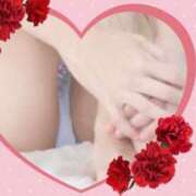 ヒメ日記 2026/04/12 08:15 投稿 高坂志乃 プレジデントハウス