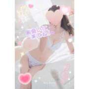 ヒメ日記 2026/04/12 14:21 投稿 高坂志乃 プレジデントハウス