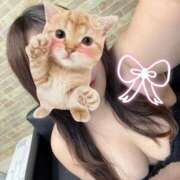 ヒメ日記 2025/10/24 00:27 投稿 ほのみ 白いぽっちゃりさん