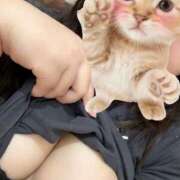 ヒメ日記 2025/11/19 23:52 投稿 ほのみ 白いぽっちゃりさん