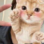 ヒメ日記 2026/01/15 21:37 投稿 ほのみ 白いぽっちゃりさん