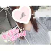 ヒメ日記 2025/11/15 12:08 投稿 みなみ 埼玉熊谷ちゃんこ