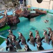 ヒメ日記 2025/10/26 13:47 投稿 水代 ゆきな club eyes