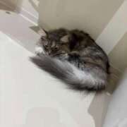 ヒメ日記 2025/11/04 19:10 投稿 水代 ゆきな club eyes