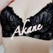 ヒメ日記 2025/10/26 10:30 投稿 あかね シロガネーテ白金(ユメオト)