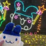 ヒメ日記 2025/11/19 18:23 投稿 いおり banana