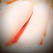 ヒメ日記 2025/11/11 22:03 投稿 らむ Ange(長崎)