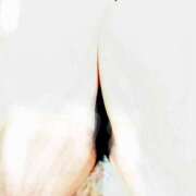 ヒメ日記 2026/04/19 18:18 投稿 らむ Ange(長崎)