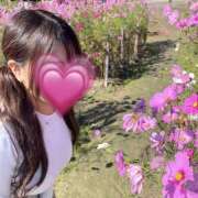 ヒメ日記 2025/10/29 06:52 投稿 れいな スピードエコ難波店