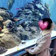 ヒメ日記 2026/01/12 12:22 投稿 れいな スピードエコ難波店