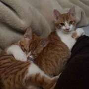 ヒメ日記 2026/01/11 09:46 投稿 めい 湯房 湯島御殿