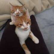 ヒメ日記 2026/02/10 18:10 投稿 めい 湯房 湯島御殿