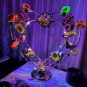 ヒメ日記 2025/12/12 22:24 投稿 りな WHITE（金沢）