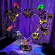 ヒメ日記 2025/12/14 20:56 投稿 りな WHITE（金沢）