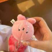 ヒメ日記 2025/11/08 09:00 投稿 茶々丸 チューリップ姫路店